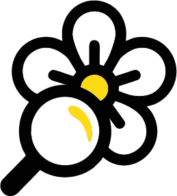 3. I fiori dell'impegno